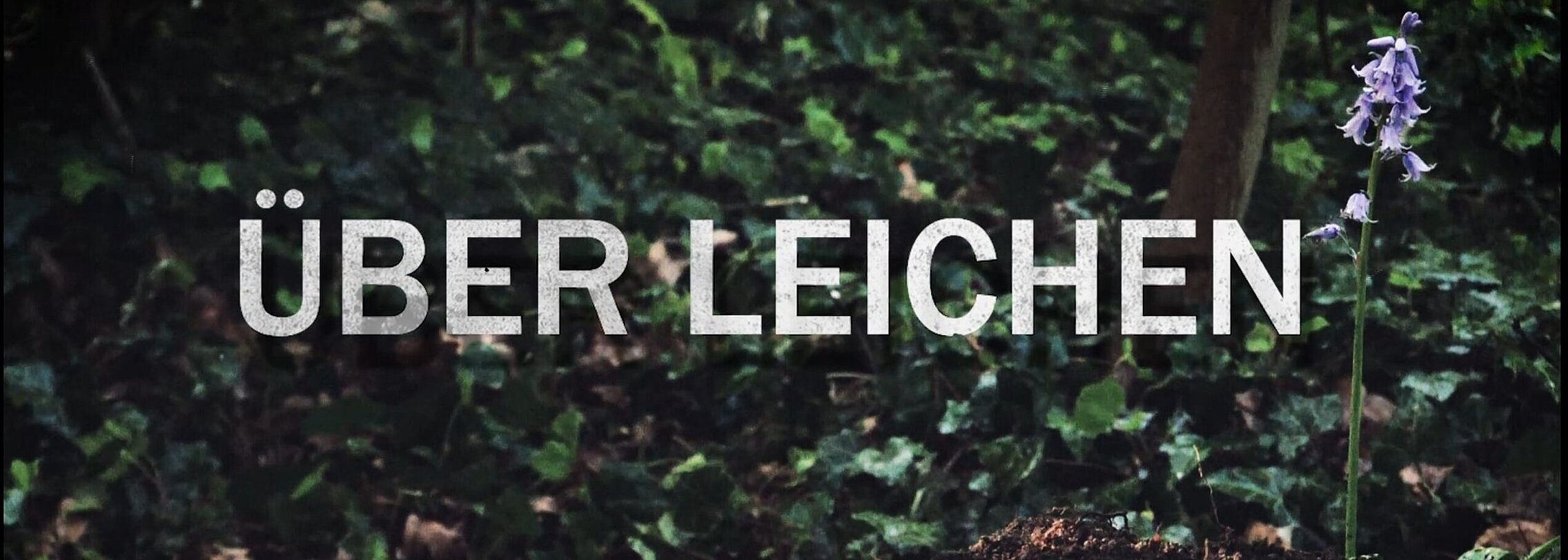 Die neue True Crime Serie